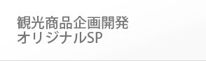 観光商品企画開発・オリジナルSP