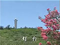 北大東村観光ナビ-灯台-
